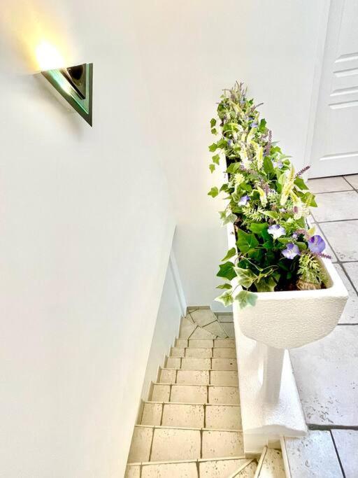 Charmante Villa Pour 10 Personnes Saint-Augustin  外观 照片